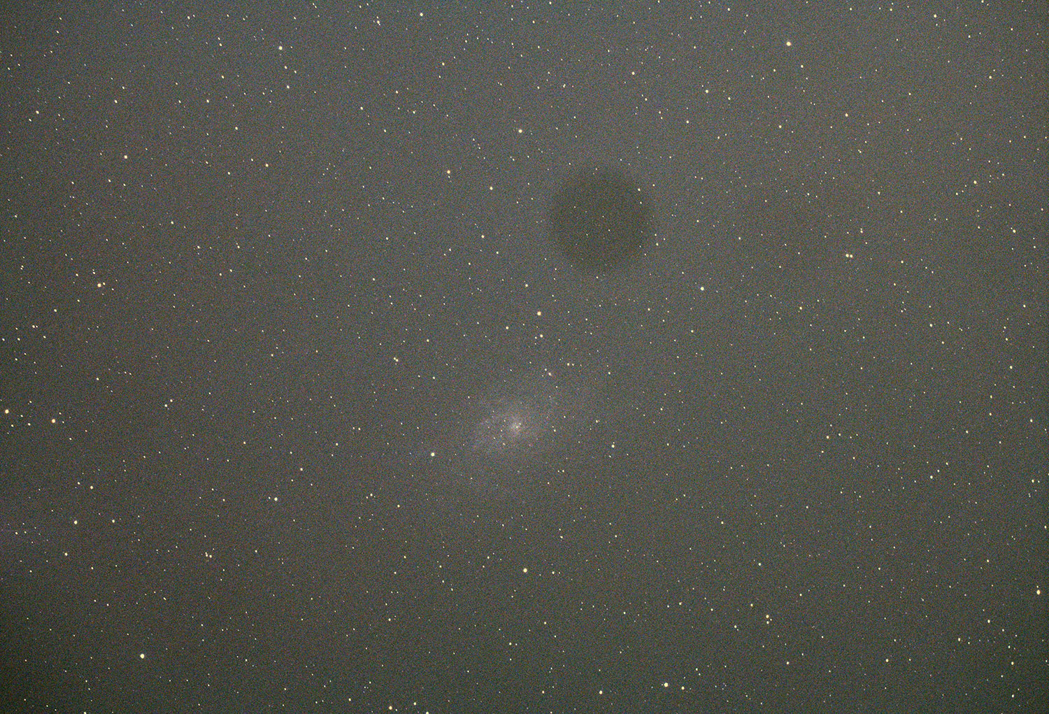 M33 single 90 second exposure after debayer in Fitswork M33 single 90 second exposure after debayer in Fitswork