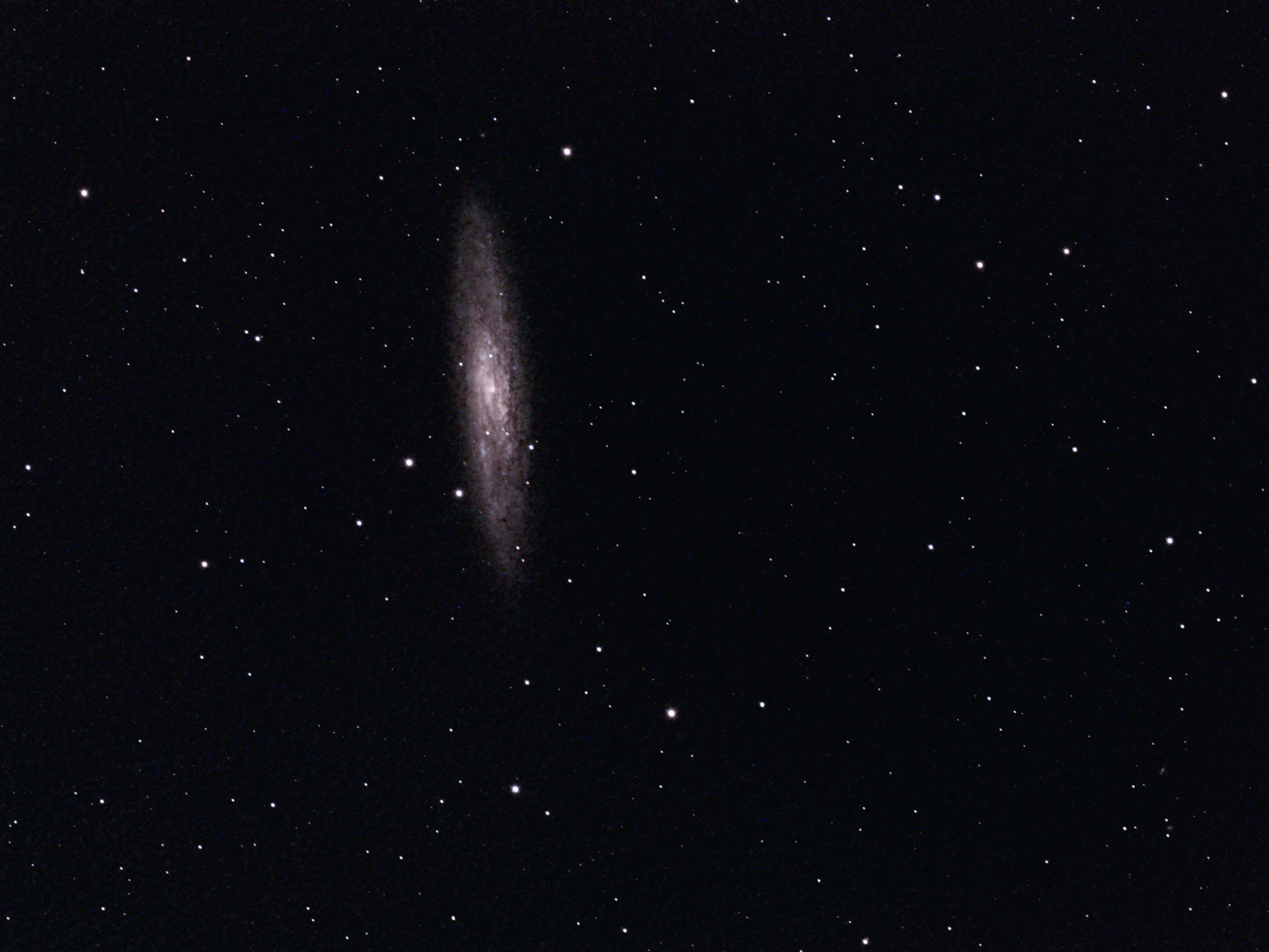 Sculpture Galaxy NGC 253 William Optics GT 102 ASI 294 astrophotography camera