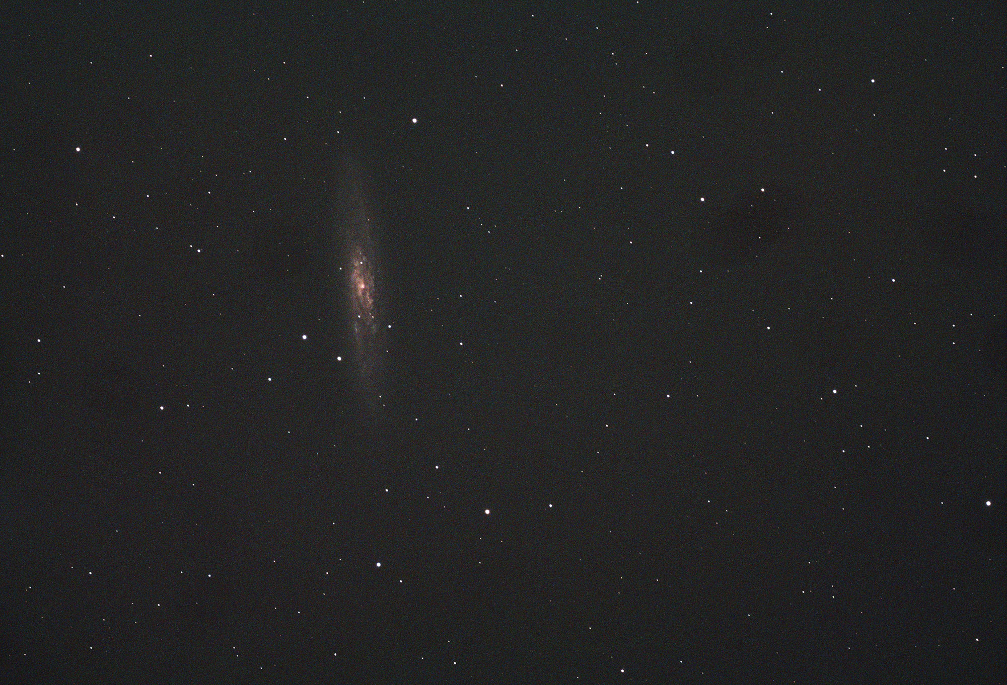 A single 60 second exposure of NGC 253 taken with a William Optics GT 102 and ASI 293 colour camera