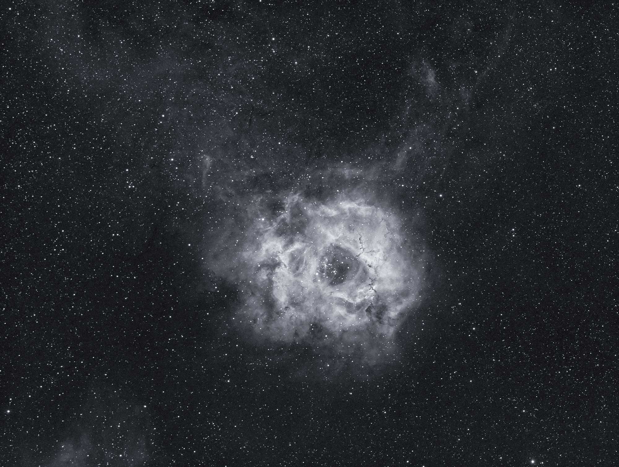 The Rosette Nebula in HA using the Borg55FL - 12*300 second subs calibrated with darks, flats and dark flats