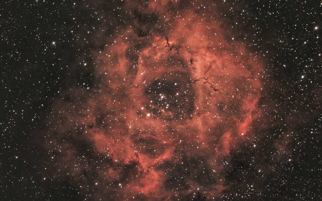 Rosette Nebula captured with RASA8 & ASI183MC camera