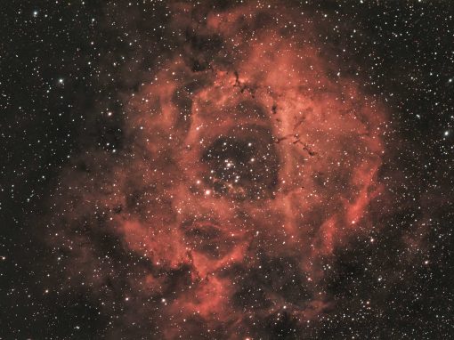Rosette Nebula captured with RASA8 & ASI183MC camera