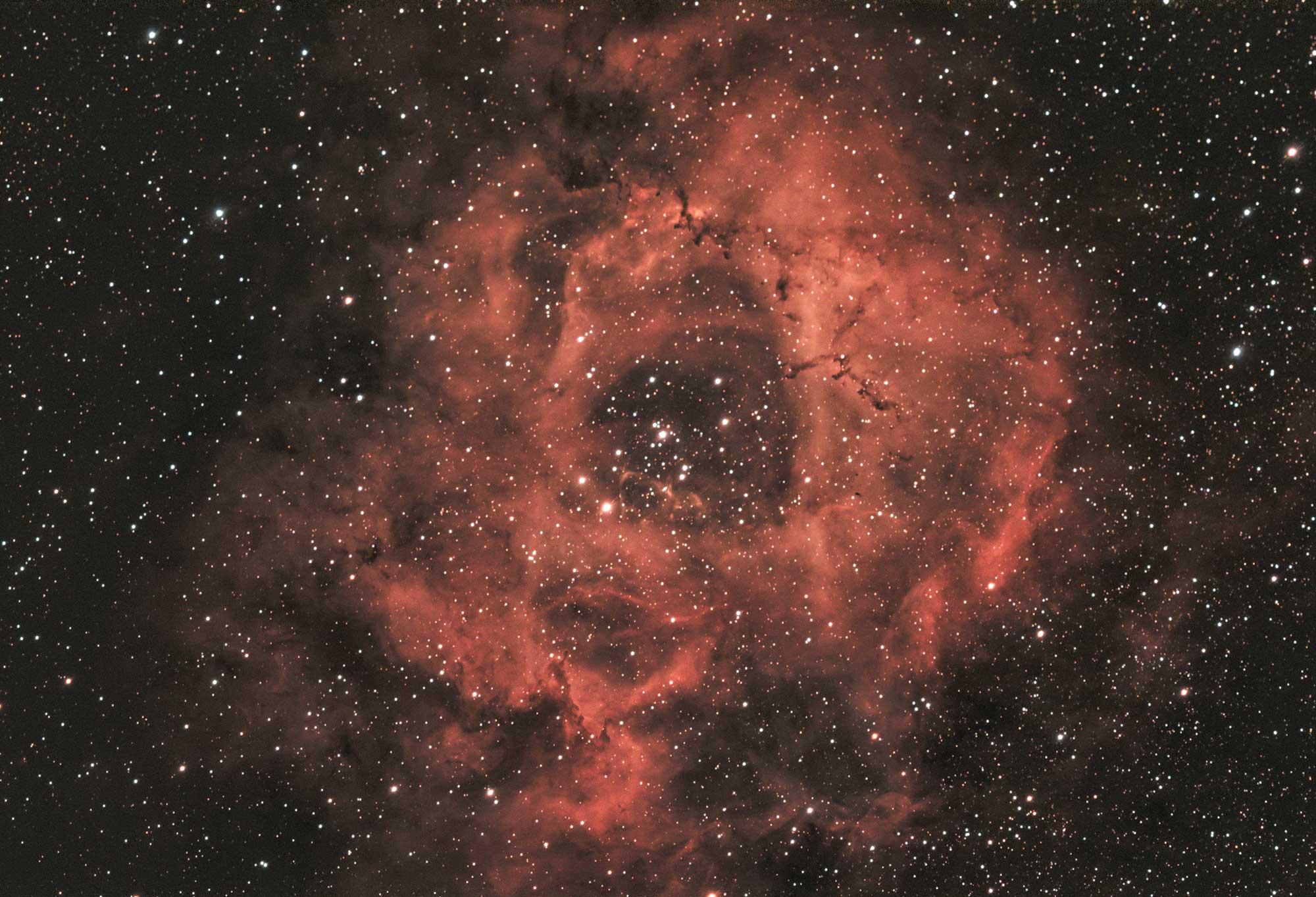 Rosette nebula captured with RASA8 and ASI183MC camera