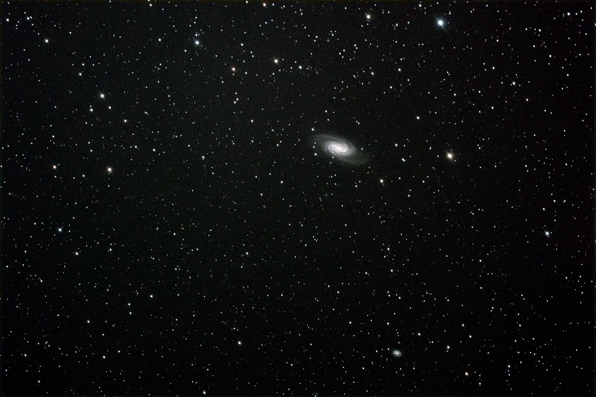 NGC2903 astrophotography with RASA8 and ASI183MC: 12 minutes total integration time