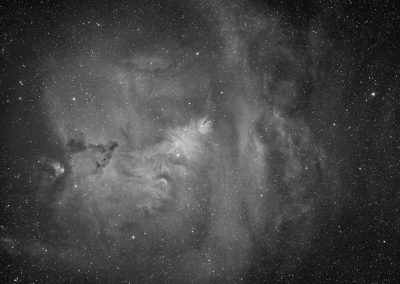 The Borg55FL captures NGC 2264 in hydrogen alpha